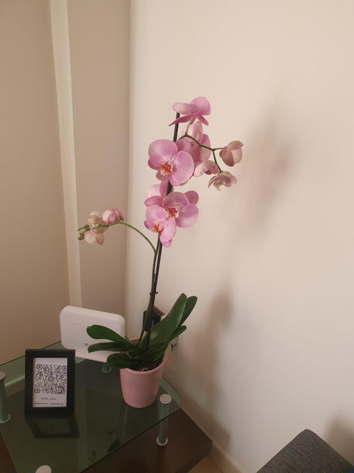 2 Bedroom Apartment, Zygos Centre Block D - By Imh Travel & Tours Πάφος Εξωτερικό φωτογραφία